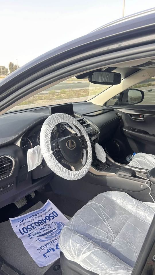 2020 Lexus NX NX450h+