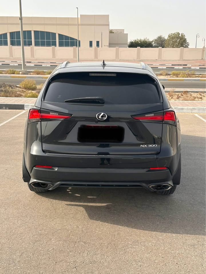 2020 Lexus NX NX450h+