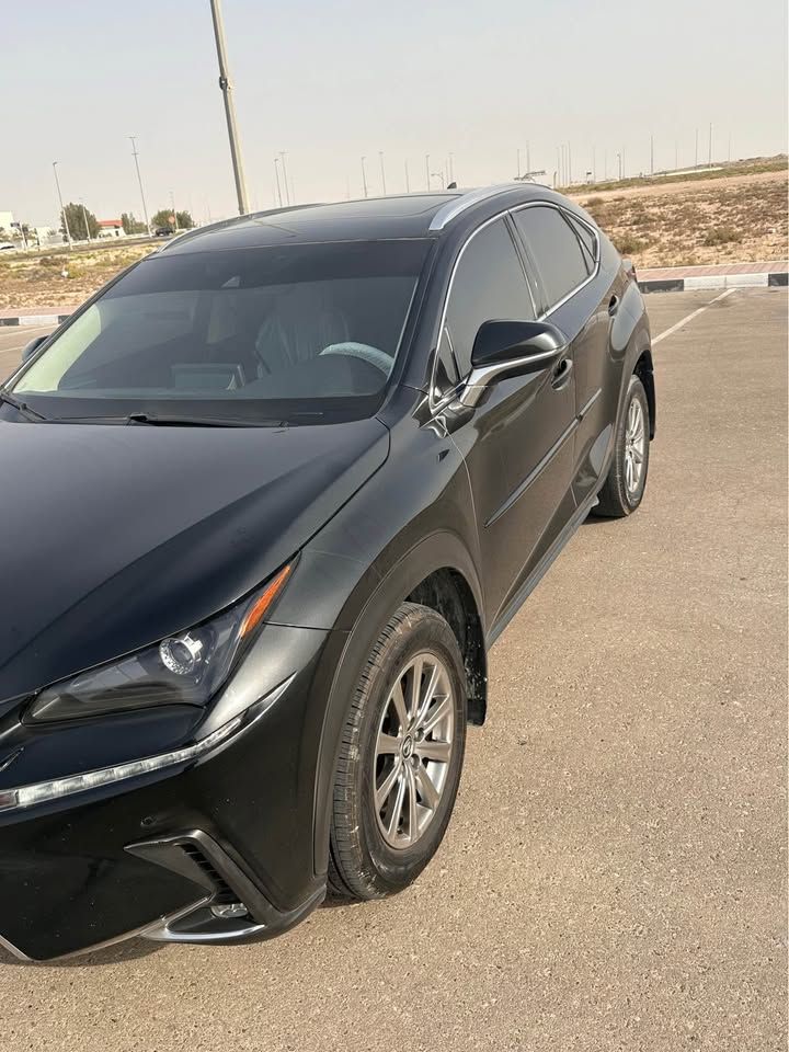 2020 Lexus NX NX450h+