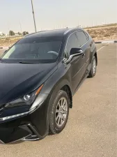2020 Lexus NX NX450h+
