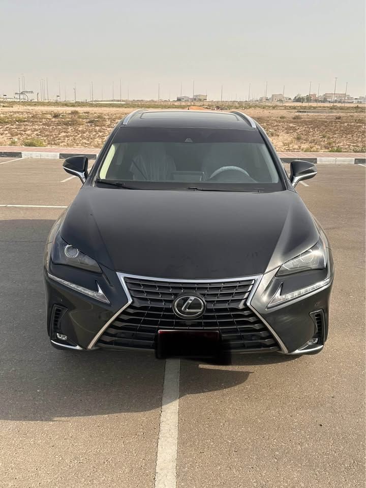 2020 Lexus NX NX450h+