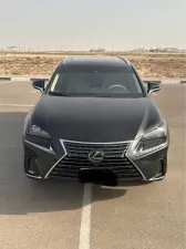 2020 Lexus NX NX450h+
