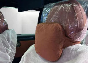 2025 روكس ٠١