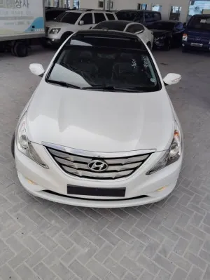 2010 Hyundai Sonata SE
