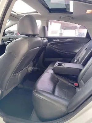 2010 Hyundai Sonata SE