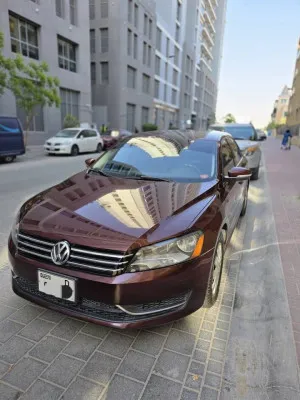 2013 فولجس فاجن باسات S
