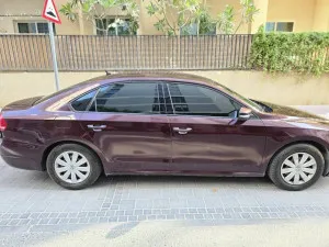 2013 فولجس فاجن باسات S