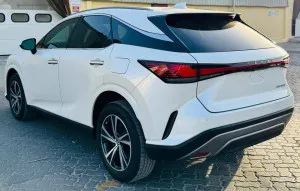 2024 لكزس NX - ان اكس NX250