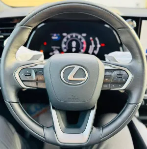 2024 لكزس NX - ان اكس NX250