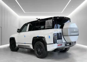 2025 يانغوانغ بو ٨