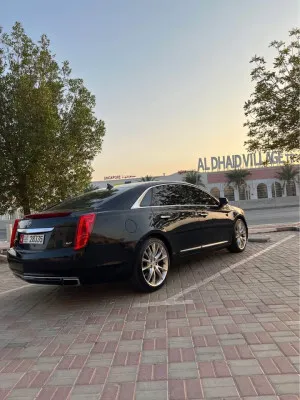 2014 كاديلاك اكس تي اس Platinum