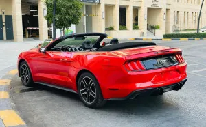 2021 فورد موستانج EcoBoost
