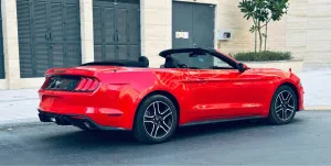 2021 فورد موستانج EcoBoost