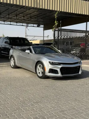 2019 شيفروليه كامارو