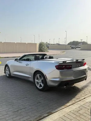 2019 شيفروليه كامارو