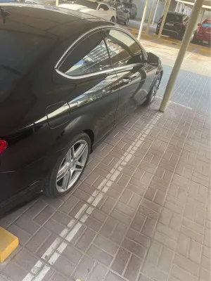 2014 Mercedes-Benz C-Class C250