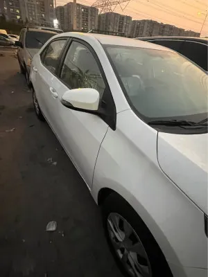 2014 Toyota Corolla GLI