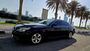 2010 بي أم دابليو الفئة - 5 520i