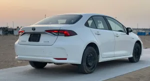 2020 Toyota Corolla HyBird