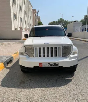 2004 جييب ليبرتي Limited