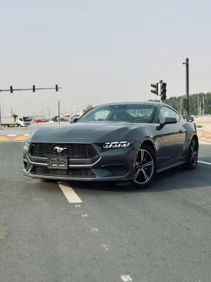 2024 فورد موستانج EcoBoost Premium