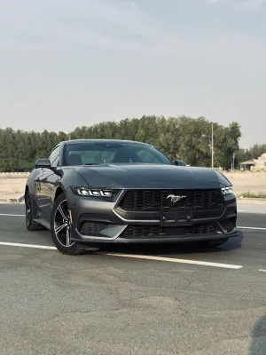 2024 فورد موستانج EcoBoost Premium