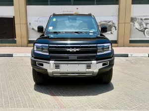 2025 بي واي دي ليوبارد