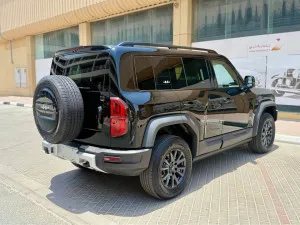 2025 بي واي دي ليوبارد