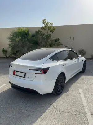 2024 Tesla MODEL 3 Performance
