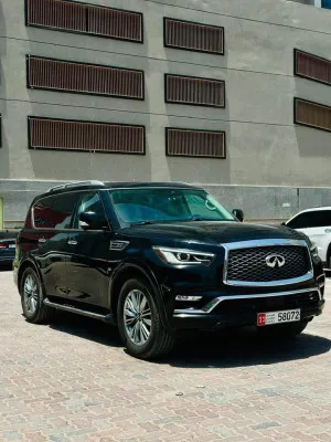 2019 Infiniti QX80 sensory