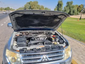 2011 Mitsubishi Pajero GLS