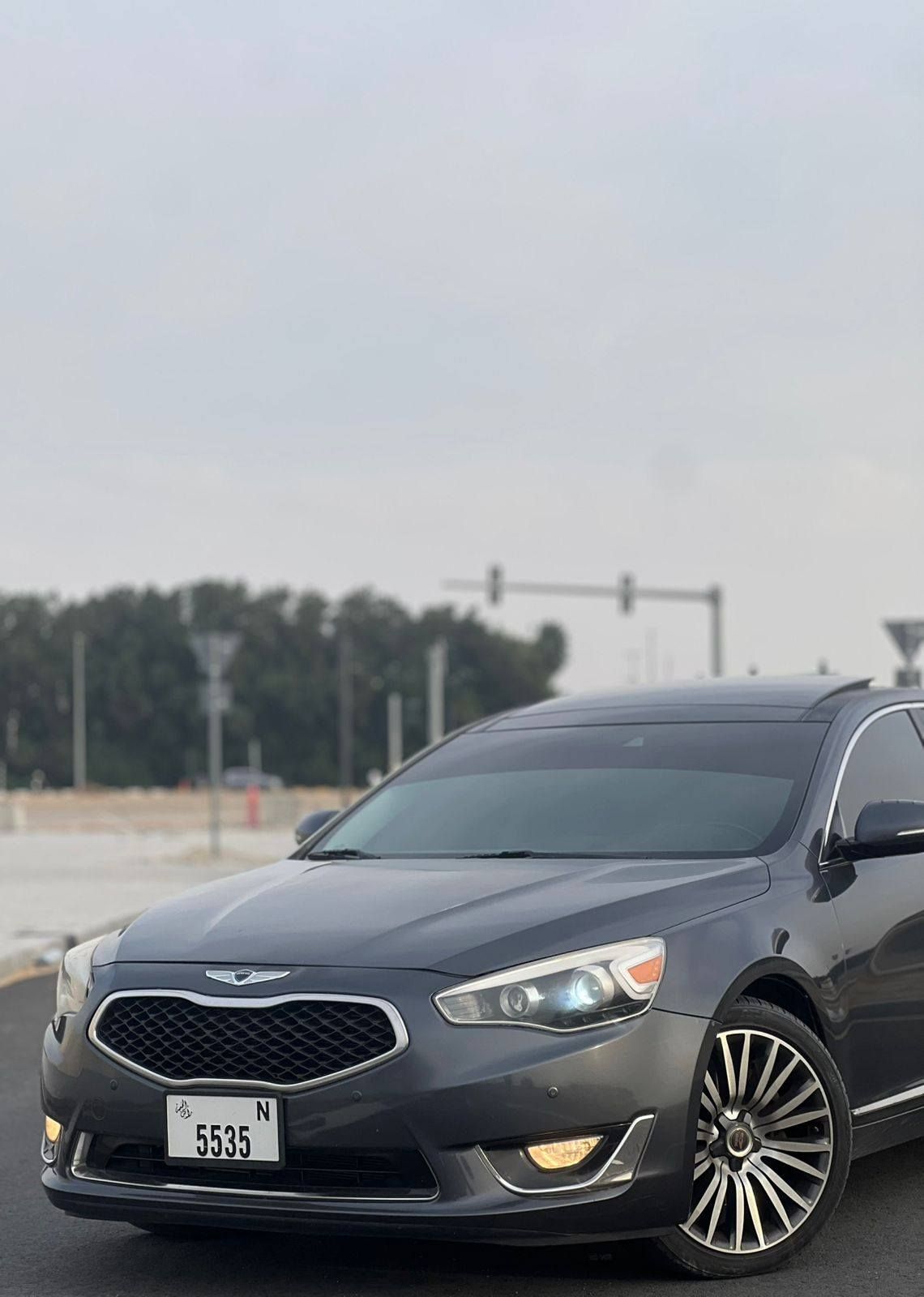 2014 Kia Cadenza Premium