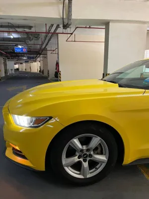 2016 فورد موستانج Shelby GT350