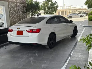 2019 شيفروليه ماليبو LT