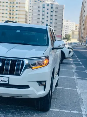 2013 Toyota Prado TXL