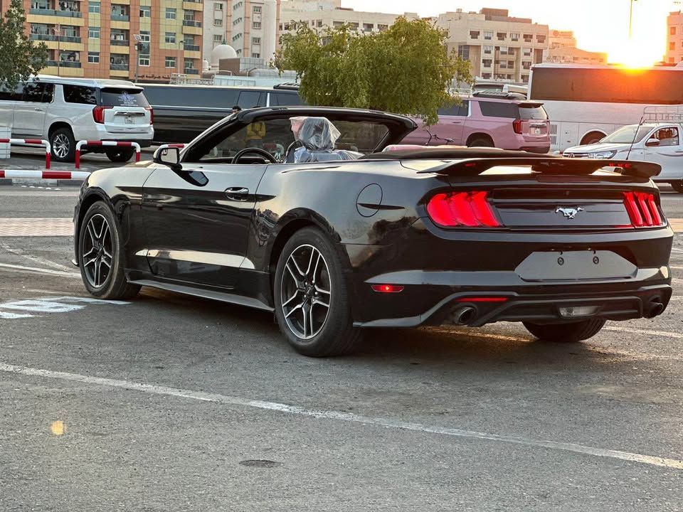 2015 فورد موستانج EcoBoost Convertible