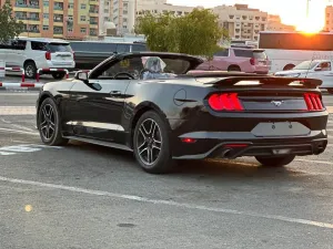 2015 فورد موستانج EcoBoost Convertible