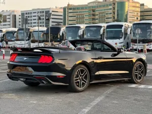 2015 فورد موستانج EcoBoost Convertible