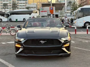 2015 فورد موستانج EcoBoost Convertible