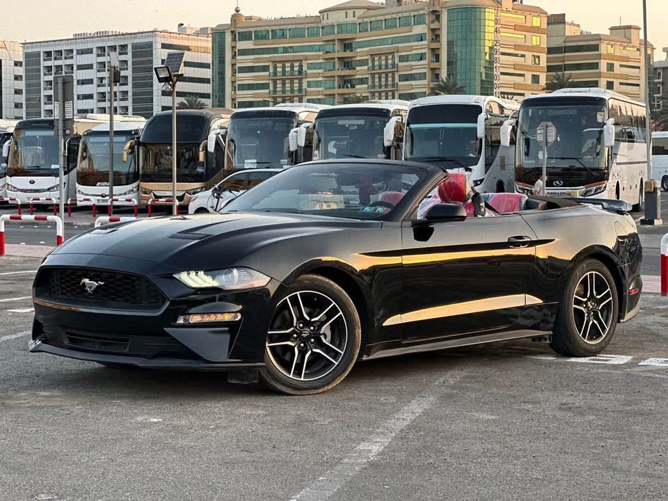 2015 فورد موستانج EcoBoost Convertible