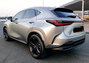 2024 لكزس NX - ان اكس NX250