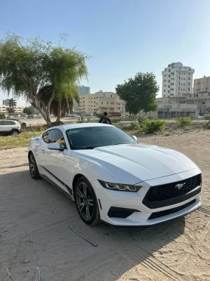 2024 فورد موستانج Mach 1 Premium