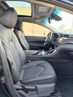 2020 Toyota Camry XLE