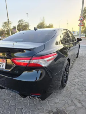 2020 Toyota Camry XLE