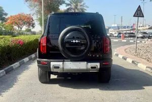 2025 بي واي دي ليوبارد