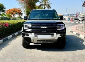 2025 بي واي دي ليوبارد