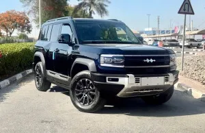 2025 بي واي دي ليوبارد