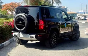 2025 بي واي دي ليوبارد