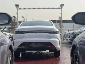 2025 بي واي دي ديستروير ٠٥