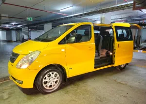 2009 Hyundai H1 Deluxe